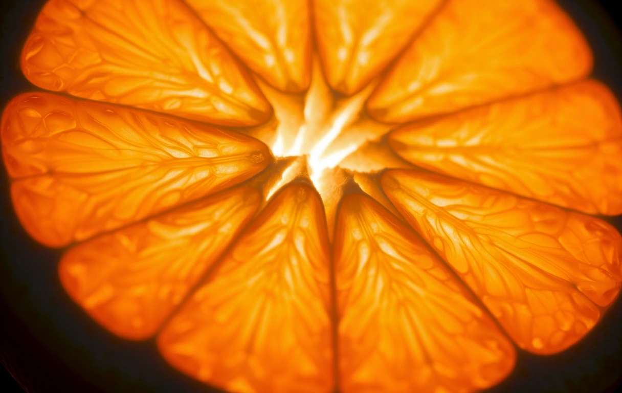 Textura nutrienților organici